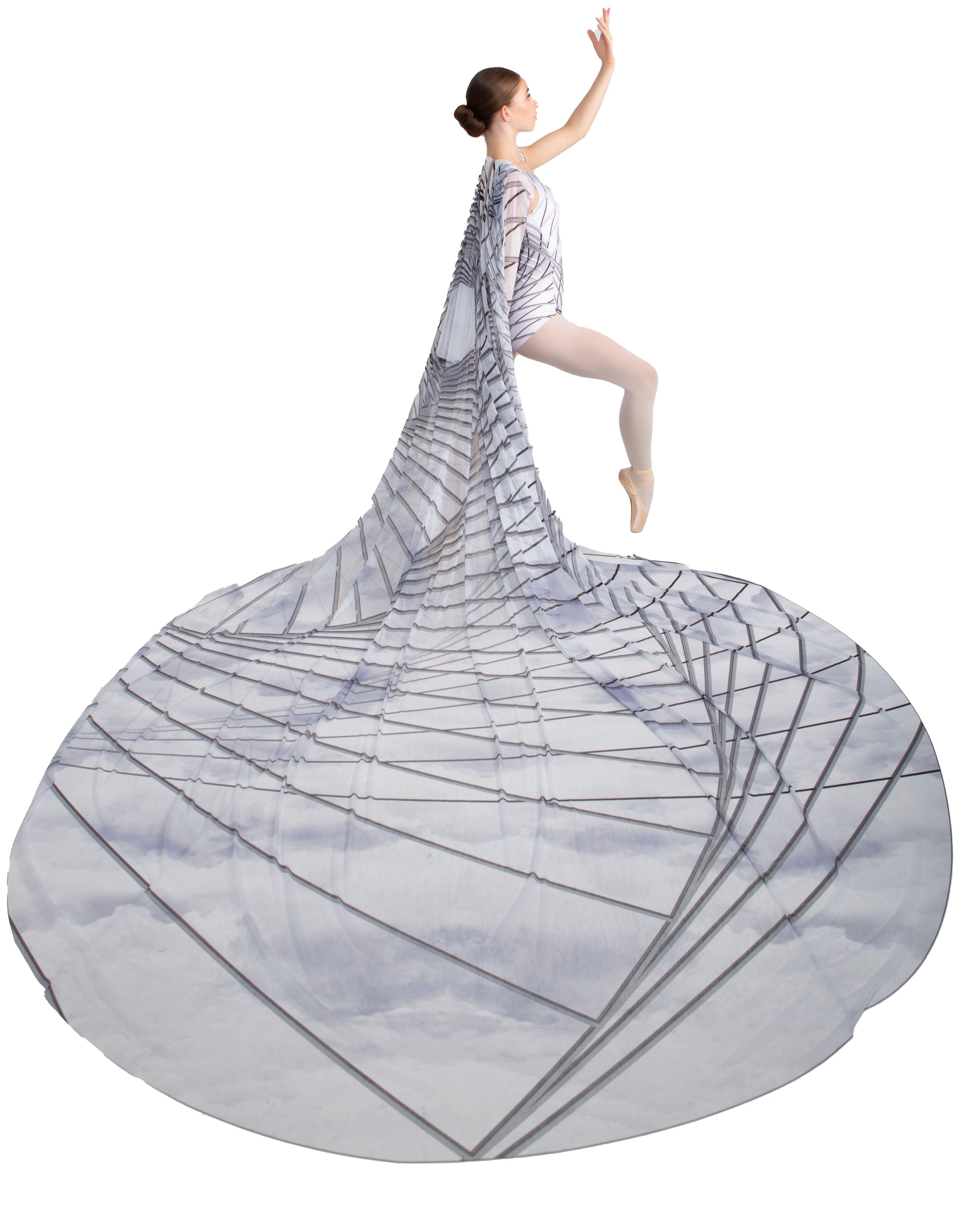 Fractal Extra Long Skirt