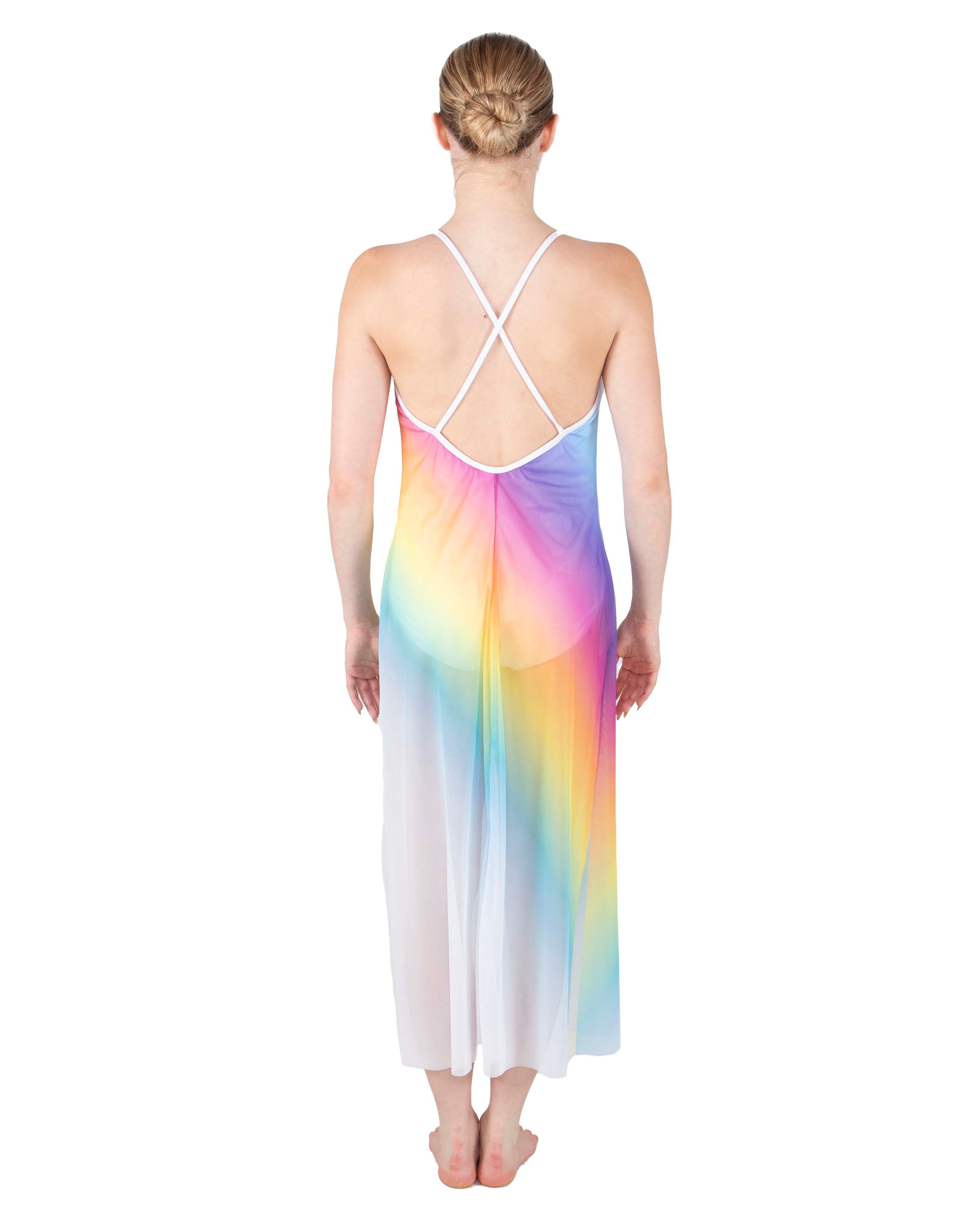 Rainbow Connection Long Chiffon Panel Dress