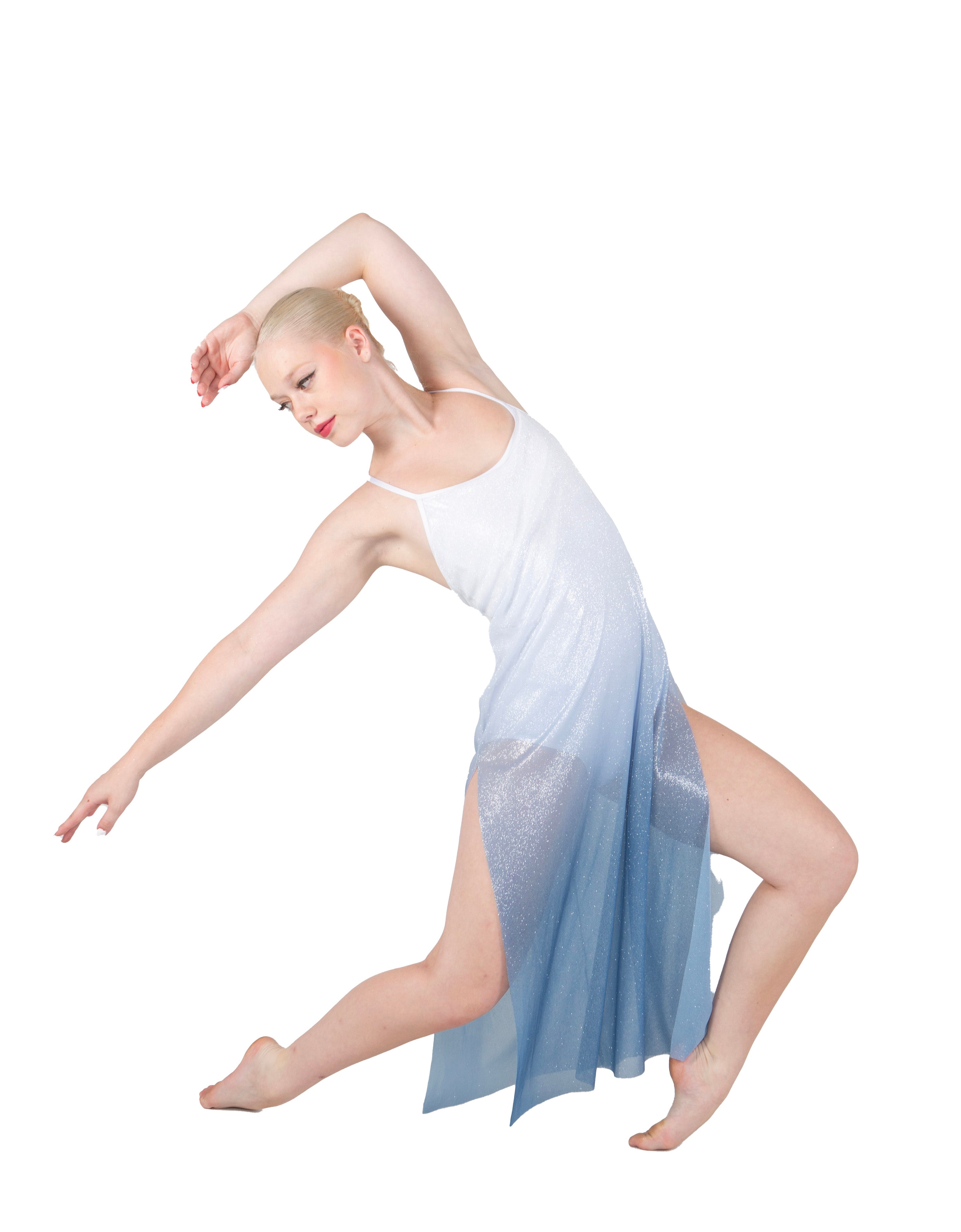 Poetic Long Chiffon Panel Dress