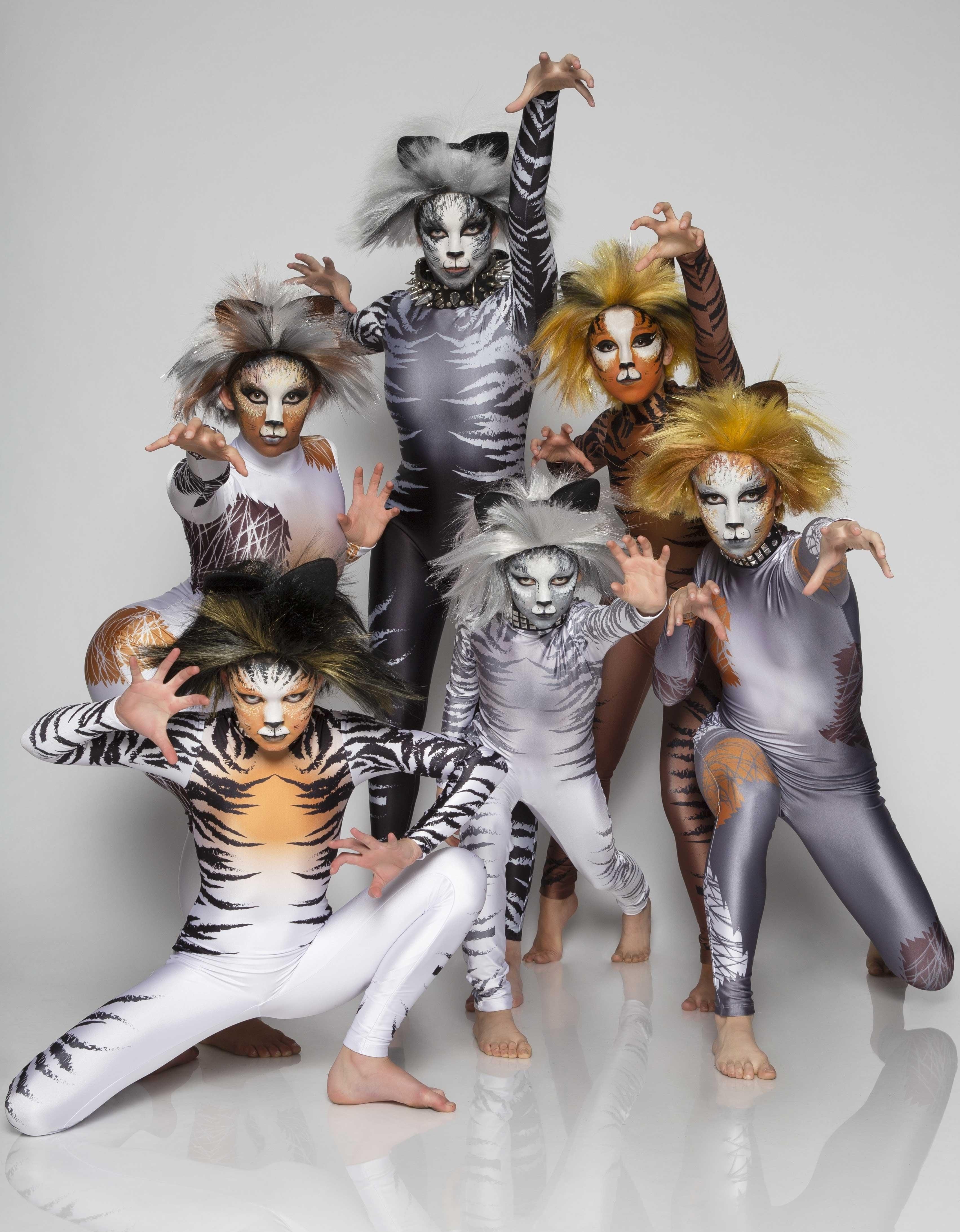 Cats Stripes LS Crop Top - Hamilton Theatrical