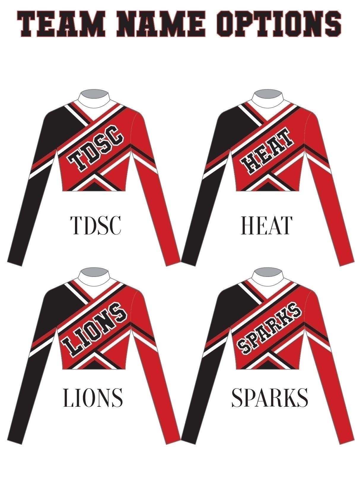 Cheer Leader LS Crop Top - Hamilton Theatrical